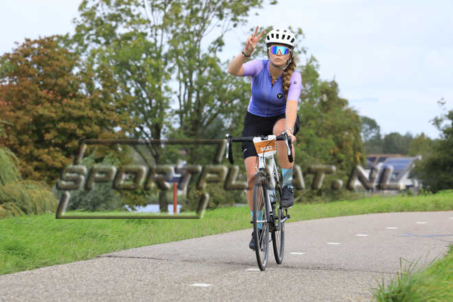 D3666.jpg